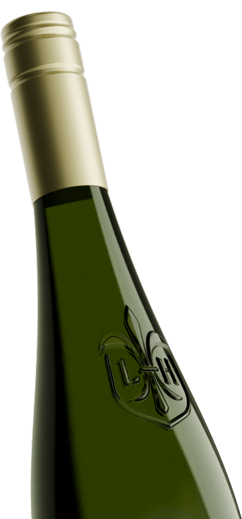 Refining processes using the example of Wine Haptics